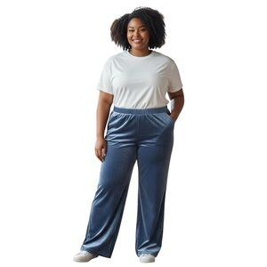 JJill $109 Dark Slate Blue Women's Velvet Pants Sz 20 New Wide Leg Stretch soft